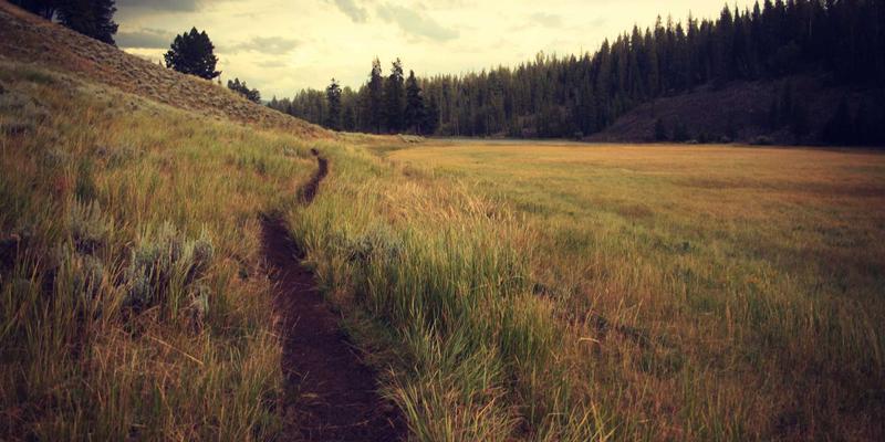 5帮11：数字时代的邻里互助新模式，如何重塑社区支持体系