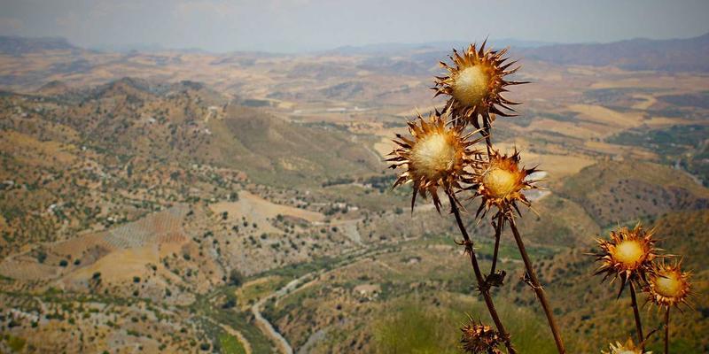 5帮130：数字时代的邻里互助革命，从物品共享到时间银行的社区新生