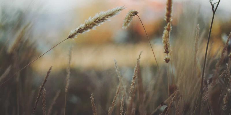 5帮160：从技能交换到物品共享，探索社区互助新模式