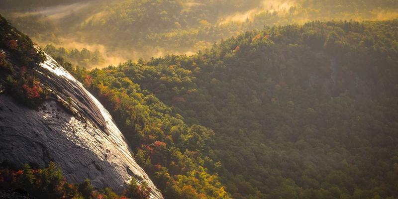 5帮1入门指南：揭秘社区支持平台如何重塑邻里互助新生态