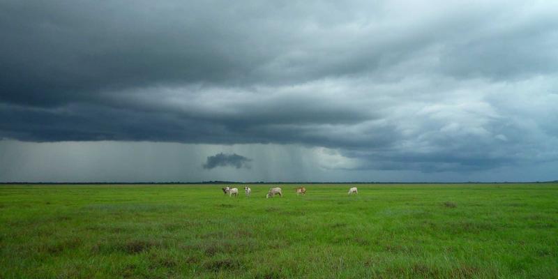 5帮1发展：以物品共享、时间银行与社区支持重塑邻里关系新生态