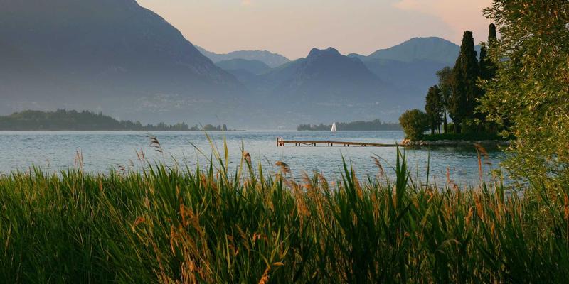 5帮1：数字时代社区支持与邻里互助的创新实践