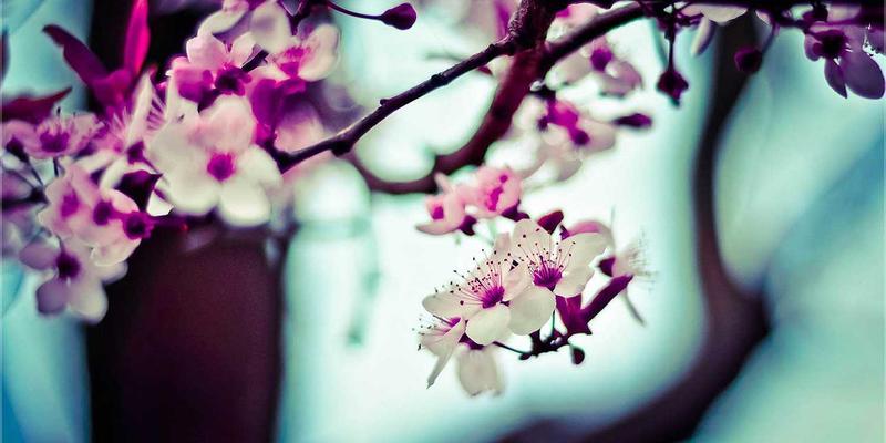 5帮1进阶：从邻里互助到社区共生的创新实践