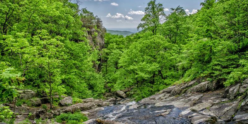 5帮1：重新定义邻里关系，打造技能交换型社区新生态