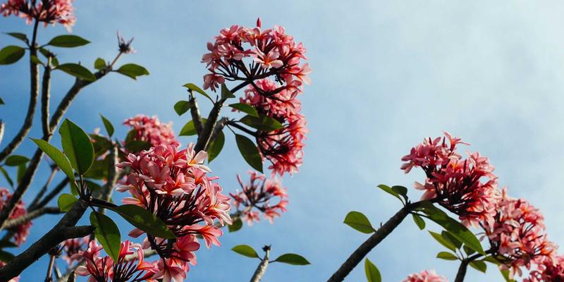 构建“5帮1”社区应急网络：以物品共享与邻里互助为核心的资源调配策略