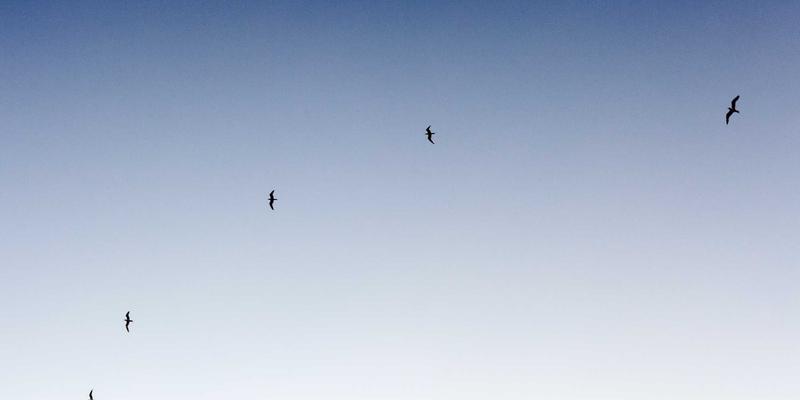 社区平台如何通过“5帮1”模式激活邻里支持与物品共享，构建小店经济共赢生态